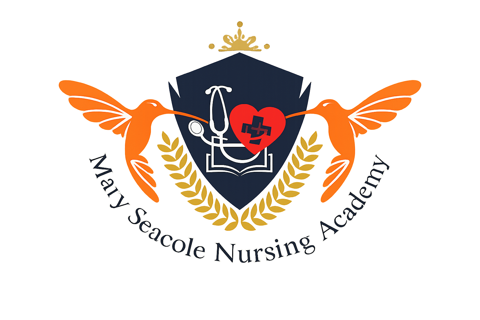 maryseacolenursing.academy